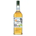 Giffard Haselnuss Sirup 1,0L