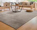 Waschbarer Teppich Wohnzimmer Kurzflor Einfarbiger Moderner Stil Weich 200x280cm