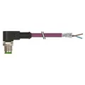 Murrelektronik M12-Stecker gewinkel 7000-14081-8400500