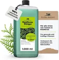 Thuja Dünger 1L Flora Boost | 200L Ergiebigkeit | Koniferen & Tannen