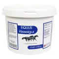 Kieselgur Equus Pulver für Pferde Inhalt: 2000 g