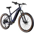 Agon Alpha E Mountain Bike 27,5" Elektrofahrrad 540 Wh E Bike arctic fire black