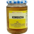 KOMBUCHA TEEPILZ, 1 St PZN 01688955
