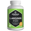 2x L-ARGININ HOCHDOSIERT 4.500 mg Kapseln 360 ST