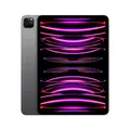 Apple iPad Pro 12.9" (2022) WiFi 128GB Space Grau MwSt nicht ausweisbar