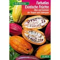 Exotische Früchte Obst und Gemüse der Tropen und Subtropen