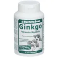 Ginkgo 60 mg Extrakt