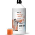 REAVET Lachsöl Hunde 1 Liter – Reich an Omega 3 & 6, Fischöl Hund hochdosiert, echte Lebensmittelqualität ohne Zusätze, frisch abgefüllt in ...