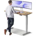 Desktronic HomePro Elektrisch höhenverstellbarer Schreibtisch 140x70cm Massive Eiche/Graumit Memory-Funktion, Anti-Kollisions Technologie, USB-A u... - Grau
