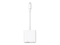 Apple Lightning Adapter - Lightning männlich zu USB