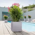 Lechuza 'Canto Stone 30 low' steingrau 30 x 30 x H 30 cm