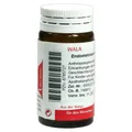 Endometrium comp. Globuli 20 g