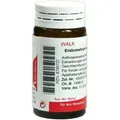 Endometrium Comp.globuli 20 g