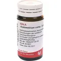 Endometrium comp.Globuli 20 g
