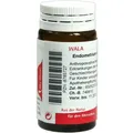 Endometrium Comp 20 G