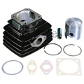 Polini Zylinderkit 70cc Grauguss für Fantic Issimo 50, Minarelli V1, 4,8PS kit