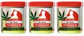 ✅ Dr. Jacoby´s Pferdesalbe bio Hanf Salbe Pferdebalsam Premiumqualität 3x 200ml✅