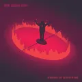 Report Suspicious Activity The Wilderness / Just 'Cos You Got The Power (Vinyl)