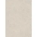 Erismann Vliestapete Play of,ight Savanna Helltaupe FSC®
