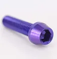 F26 Titan M5 Schraube DIN 912 konisch (Lila, 16mm)