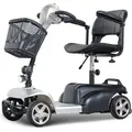 Stormborn Seniorenmobil R1 - 6 km/h - verschiedene Farben