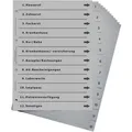 europrotokoll Versicherungsregister A4, 1-12, Arzt und Gesundheit, Kunststoff, 12-teilig, grau