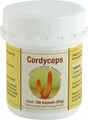 CORDYCEPS SINENSIS Kapseln 100 St.