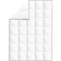vidaXL Winter-Daunendecke 155x220 cm - Weiß