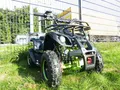 Elektro Kinder Quad 800W 36V Miniquad Mini ATV Pocketquad Kinderquad KXD 7E Grün
