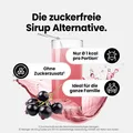 Best Body Nutrition - Vital Drink Zerop - 48 ml Squeeze Flasche, 1 x 48 ml Squeeze Flasche, Geschmack: Schwarze Johannisbeere