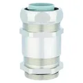 Lapp Schlauchverschraubung Silber M (55506103)
