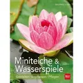 Miniteiche und Wasserspiele