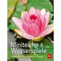Miniteiche und Wasserspiele