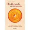 Die Organuhr praktisch anwenden