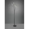 TRIO R41031532 LED Stehleuchte Reed 5x3,5W | 1750lm | 3000K | IP20 - Memory-Funktion, dimmbar 3- Phasen, schwarz