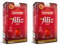 ÇAYKUR Filiz Schwarzer Tee, Erste Ernte mit Goldspitzen, Loser Premium-Tee 500g, 2er pack