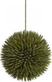 EUROPALMS Sukkulenten Kugel (EVA), grün, 20cm