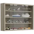 Hängevitrine Wandvitrine Glas Agisa M