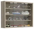 VCM Hängevitrine Hängevitrine Wandvitrine Sammel Deko Agisa M
