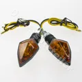 Blinker Set mit Halogenleuchte 12V/6 Watt Gesmtlänge 57mm, M8-Gewinde