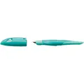 STABILO Ergonomischer Schulfüller für Rechtshänder mit Standard-Feder M - EASYbirdy Pastel Edition i (Mint, Grün, 1 x) (5012/8-41)