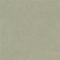 Rasch Concrete 520279 Vliestapete Uni Tapete 0.53 x 10.05 m Grün Gold
