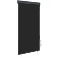vidaXL Außenrollo 80 x 250 cm Anthrazit 145952