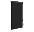 Rollo Außenrollo 80 x 250 cm Anthrazit, vidaXL