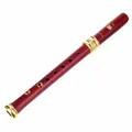 4119R Adris Dream Soprano