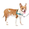 PetSafe Easy Walk Deluxe Geschirr, Gehgeschirr ohne Zug für Hunde, gepolstertes Design, inkl. 1,8 m Leine, mittelozeanblau/schwarz