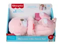 194735364978 Fisher-Price  Różowa Wydra Usypianka-Przytulanka Oddychający uspoka