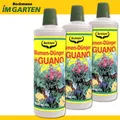 Beckmann 3 x 1 l Beckhorn Blumen-Dünger + Guano Universaldünger Zierpflanze