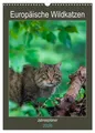 Janita Webeler | Europäische Wildkatzen - Jahresplaner (Wandkalender 2026 DIN...