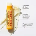 4er Pack Lippenbalsam mit Bienenwachs - pflegender Honey Lippenstift